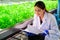 Biologist checking and recording growing of hydroponic vegetable in greenhouse