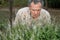 Biologist examine the leave of large healthy basil shrub