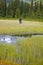 Biologist exploring a bog