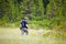 Biologist exploring a bog