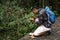 Biologist in a forest researching