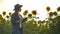 The biologist girl in a had is observing sunflowers in summer day on the field