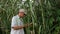 Biologist out in the field inspecting elephant grass