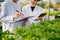 Biologist puts sprout in test tube for laboratory analyze. Two scientists stand in organic farm. check, laboratory in greenhouse