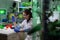 Biologist researcher woman analyzing glass with leaf sample