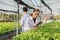 Biologist in test for laboratory analyze. Two scientists stand in organic farm. check, laboratory in greenhouse