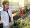 Biologist watering seedlings in greenhouse