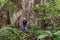 Biologist Woman Standing Next To A Kapok Tree