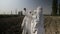 Biologists workers in hazmat clothing looking at contaminated piece of soil earth from an agricultural field in the of refinery -