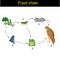 Biology - Food chain version 01