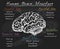 Biology human brain structure on chalkboard