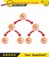 Biology - stages of mitosis and meiosis