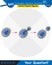 Biology, stages of mitosis and meiosis, next generation question template