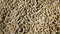 Biomass pellets-wood pellets close-up .Biofuel. Used as a cat toilet.