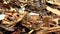 Biomass, wood chips, alternative energies and fuels