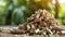 Biomass wood pellets stack with woodpile on blurred background, copy space for text.