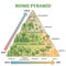 Biome pyramid as ecological weather or climate classification outline diagram