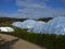 Biomes at Eden project 2