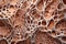Biomorphic design skin cells texture macro.