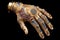 bionic hand manipulating intricate circuitry