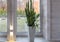 Biophilia design, biophilic interior, Sansevieria on the windowsill of a Scandinavian-style wooden house