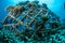 Biorocks of coral reefs in Gili, Lombok, Nusa Tenggara Barat, Indonesia underwater photo