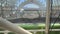 BioSphere 2 - New Planting Bed