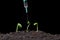 Biotechnology, add a liquid to the plants with a syringe, dark background