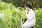 Biotechnology asian woman engineer examining plant leaf for disease, science and research concept