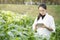 Biotechnology woman engineer examining plant leaf for disease