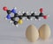 Biotin molecule and eggs in the white background