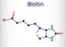 Biotin, vitamin B7 molecule. Structural chemical formula