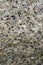 The biotite granite stone with visible details