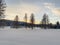 Biotope in winter season full of snow