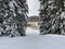 Biotope in winter season full of snow