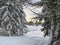 Biotope in winter season full of snow