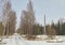 Birch alley and monument on a winter day. Forgotten, abandoned ghost town Skrunda, Latvia. Former Soviet army radar station