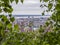 Birch and blooming lilacs in the foreground. In the background view of the city of Saratov and the Volga river, Russia