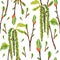 Birch buds, painted in watercolor, collected in a seamless pattern.