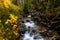 Birch Creek in the Autumn