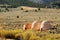 Birch creek valley charcoal kilns