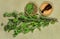 Birch. Dry plants. Herbal medicine, phytotherapy medicinal herbs