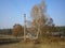 Birch in the foreground,fence, forest behind the village , autumn, tree shadows