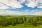 The birch forest and cloudscape