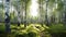 Birch Forest In Photorealistic Style With Sunlight