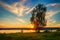 Birch on grassy banks river Volga Russia on sunset