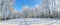 Birch grove in hoarfrost against blue sky, picturesque winter la