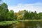 Birch grove. A pond in a deciduous forest area. Green grass. Blue sky