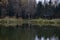 Birch grove, spruce forest, on the banks of the river. Bike at the tree. Green grass adorns the picturesque landscape