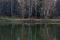 Birch grove and spruce forest on the banks of the river. Thick branches of trees bent over the water. Trees are reflected